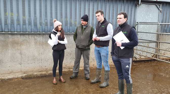 Young Handlers Stock Judging in Kilkenny ahead of New Zealand competition.